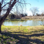 Hunting Land Cattle Pasture