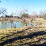 Hunting Land Cattle Pasture