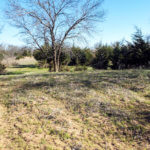 Hunting Land Cattle Pasture