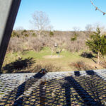 Hunting Land Cattle Pasture