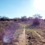 Hunting Land Cattle Pasture