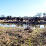 Hunting Land Cattle Pasture