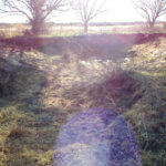 Hunting Land Cattle Pasture