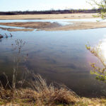 Hunting Land Cattle Pasture