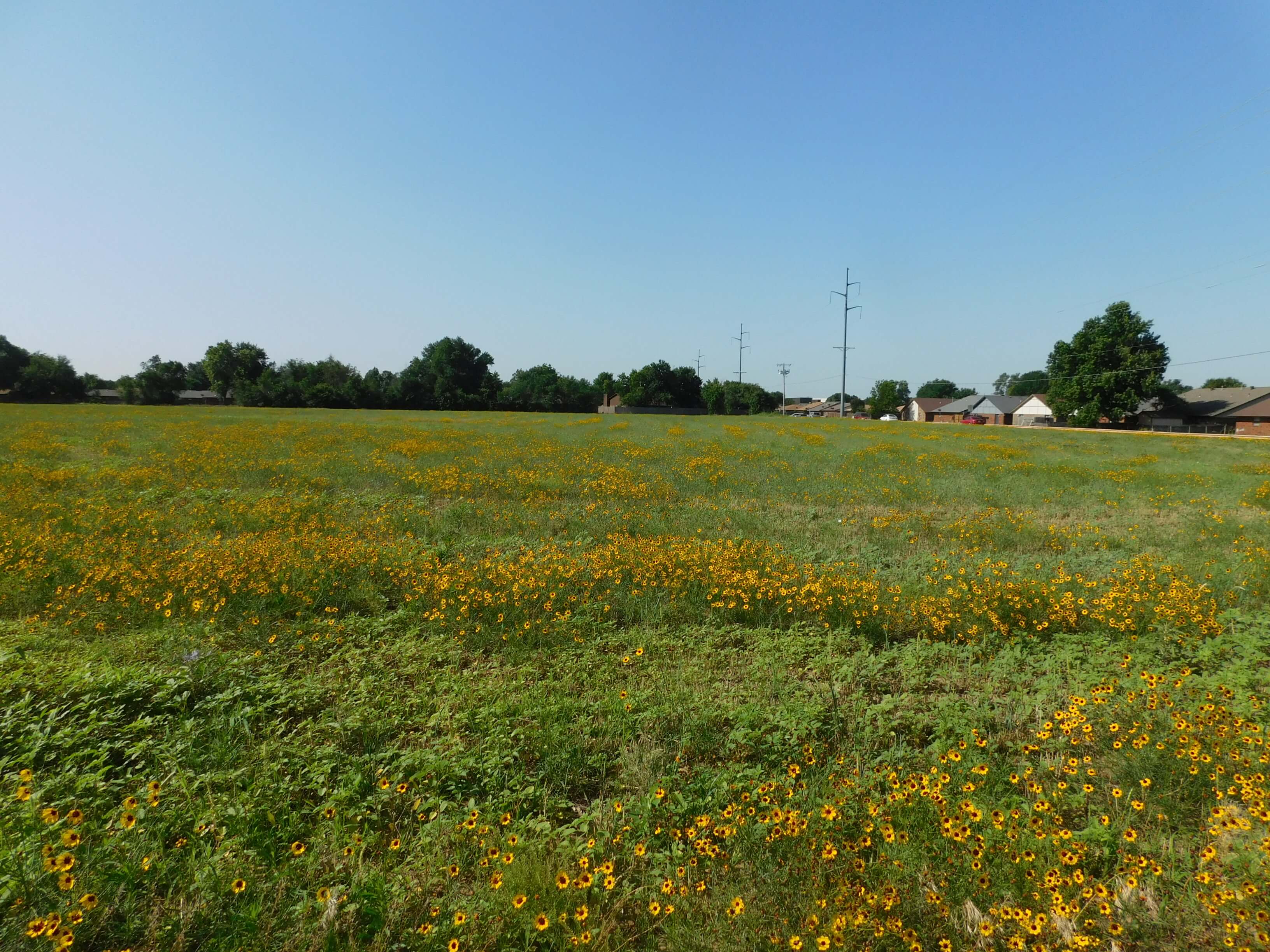 5 Acres Commercial