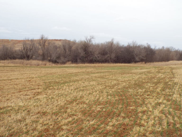93 Acres MOL Cropland/Timber Enid OK