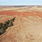 Drone Grassland