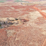 Drone Grassland