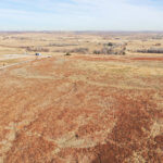 Drone Grassland