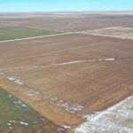 1,560± Acres cropland