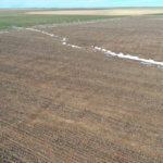 1,560± Acres cropland