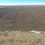 1,560± Acres cropland