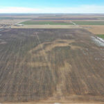 1,560± Acres cropland