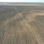 1,560± Acres cropland