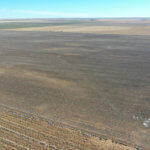 1,560± Acres cropland