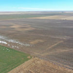 1,560± Acres cropland