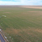 1,560± Acres cropland