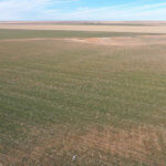 1,560± Acres cropland