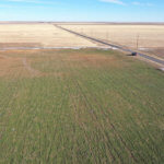 1,560± Acres cropland