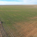 1,560± Acres cropland