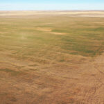 1,560± Acres cropland