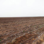 1,560± Acres cropland