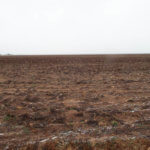 1,560± Acres cropland