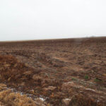 1,560± Acres cropland