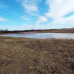 160± Acres Ponds