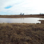 160± Acres Ponds