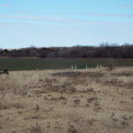 160± Acres Ponds