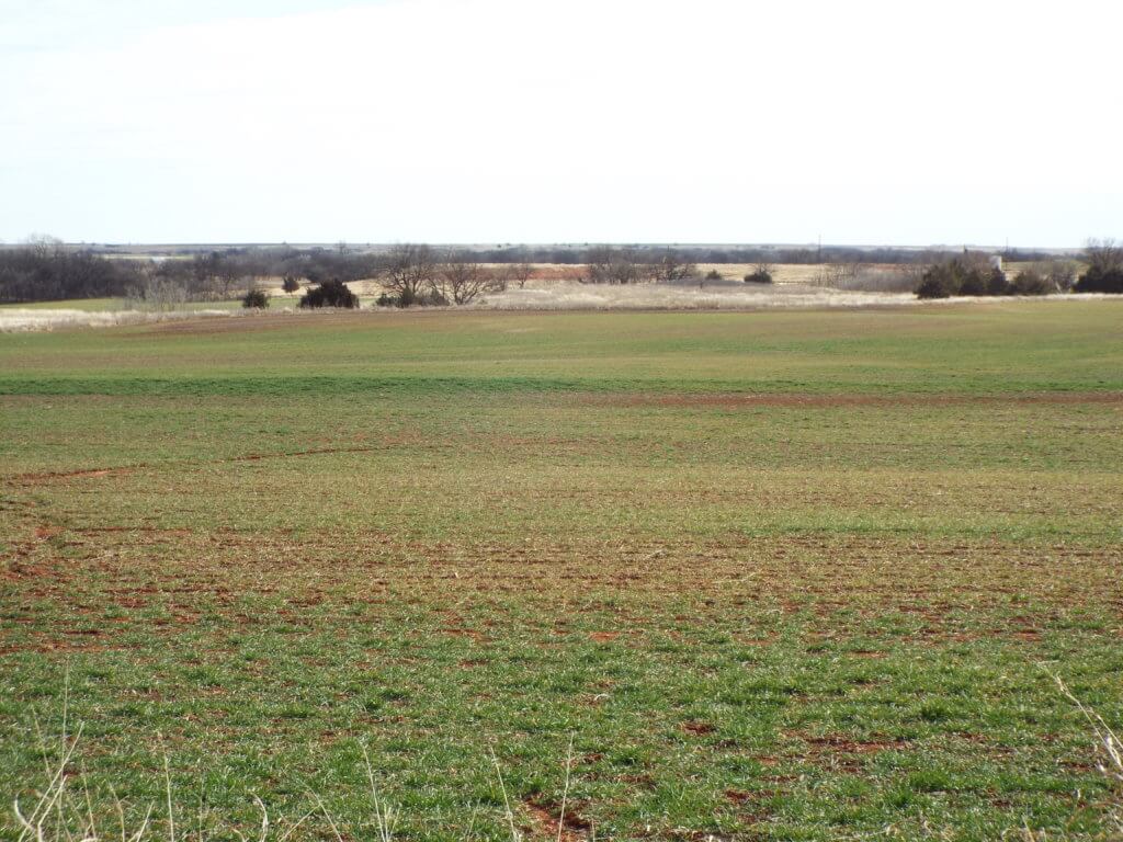 CROP * GRASS PASTURE * PONDS