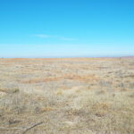 Tract 1-WOODWARD COUNTY OKLAHOMA LAND