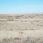 Tract 1-WOODWARD COUNTY OKLAHOMA LAND