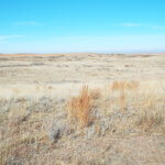 Tract 1-WOODWARD COUNTY OKLAHOMA LAND