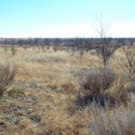 Tract 1-WOODWARD COUNTY OKLAHOMA LAND