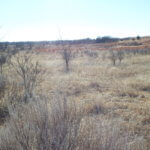 Tract 1-WOODWARD COUNTY OKLAHOMA LAND