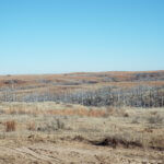 Tract 1-WOODWARD COUNTY OKLAHOMA LAND