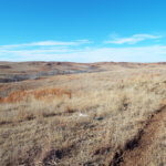 Tract 2 -WAYNOKA AREA AND MORELAND AREA * GRASSLAND