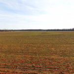 240± Acres, Minerals & Grass