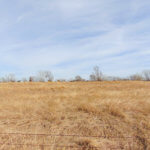 240± Acres, Minerals & Grass