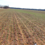 240± Acres, Minerals & Grass