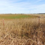 240± Acres, Minerals & Grass