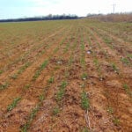 240± Acres, Minerals & Grass