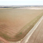 240± Acres, Minerals & Grass