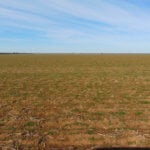 240± Acres, Minerals & Grass