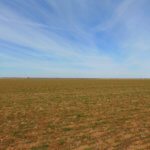 240± Acres, Minerals & Grass