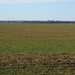 240± Acres, Minerals & Grass