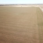 240± Acres, Minerals & Grass