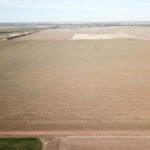 240± Acres, Minerals & Grass